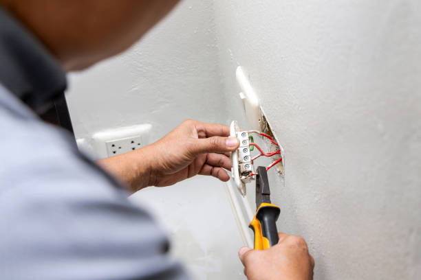 Best Ceiling Fan Installation Electrician  in Walker Valley, NY
