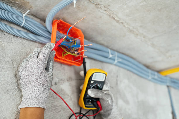 Best Local Electrician Companies  in Walker Valley, NY